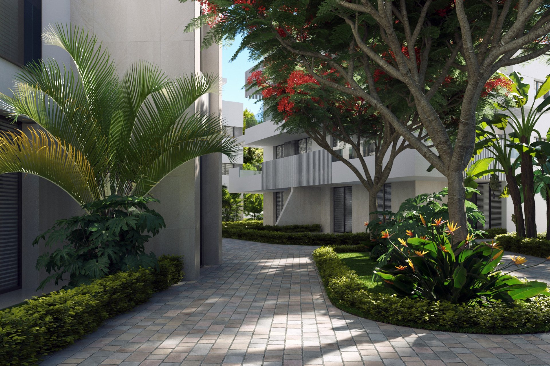 Nouvelle construction - Attique - Torre-Pacheco