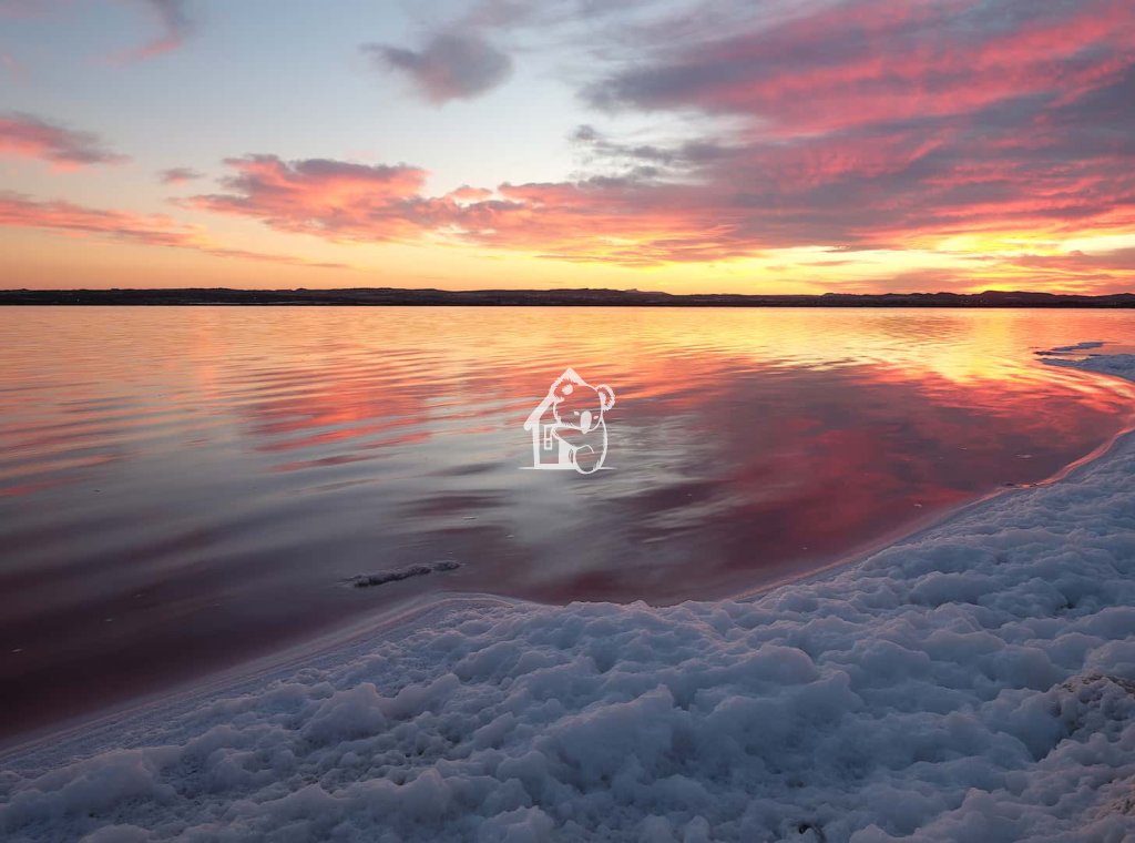 Nouvelle construction - Bungalow - Torrevieja