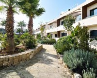 Nouvelle construction - Bungalow - Torrevieja