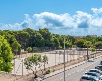 Nouvelle construction - Maison de ville - Pilar de la Horadada