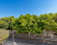 Nouvelle construction - Maison de ville - Pilar de la Horadada