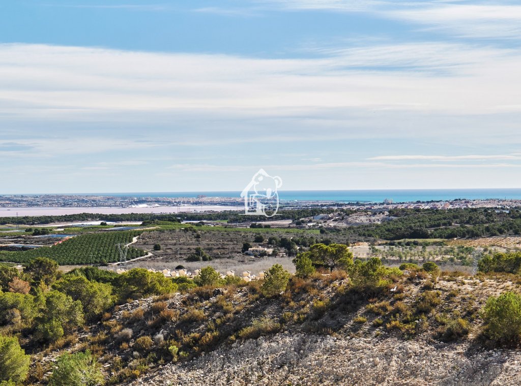 Nouvelle construction - Villa - San Miguel de Salinas