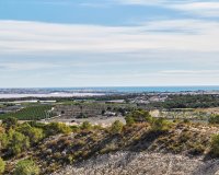 Nouvelle construction - Villa - San Miguel de Salinas