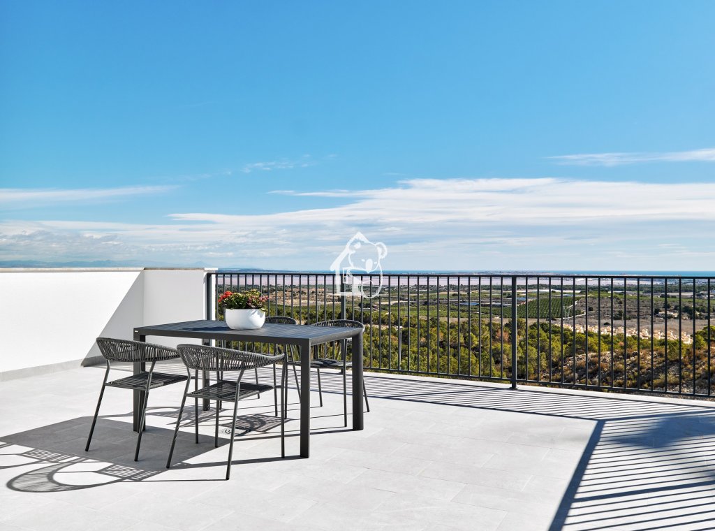 Nouvelle construction - Villa - San Miguel de Salinas