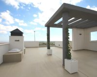 Nouvelle construction - Villa - San Miguel de Salinas