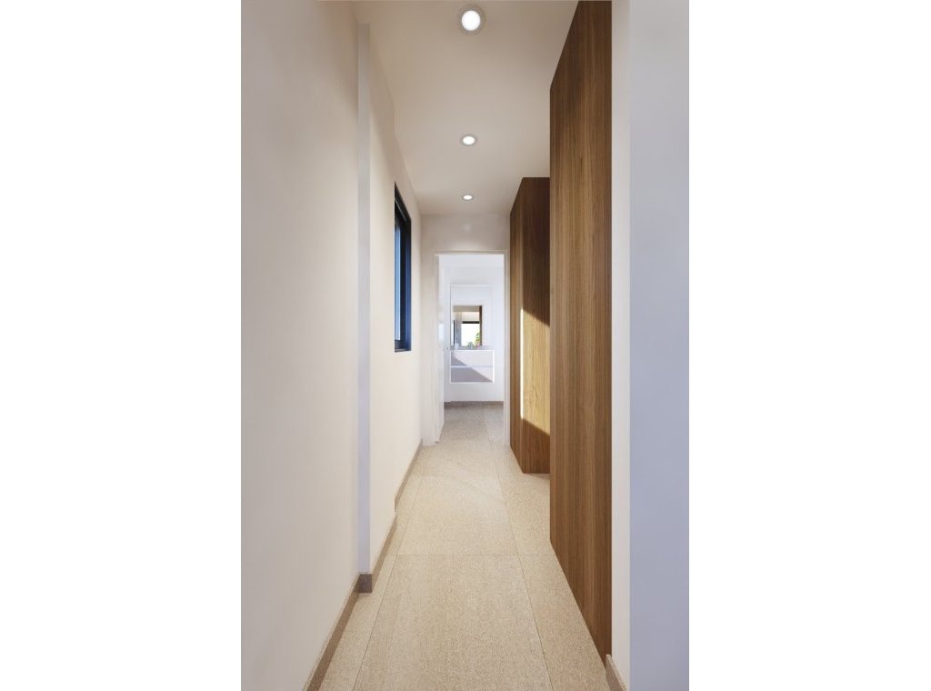 Nouvelle construction - Villa - San Miguel de Salinas