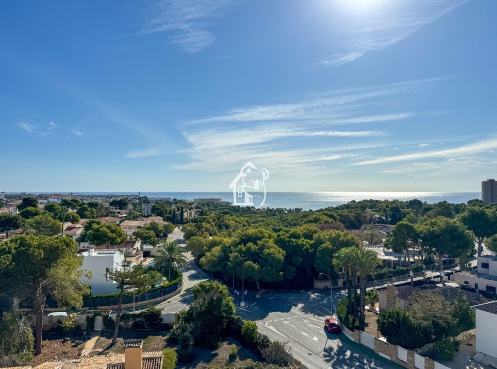 Новое здание - Квартира / квартира - Dehesa de Campoamor