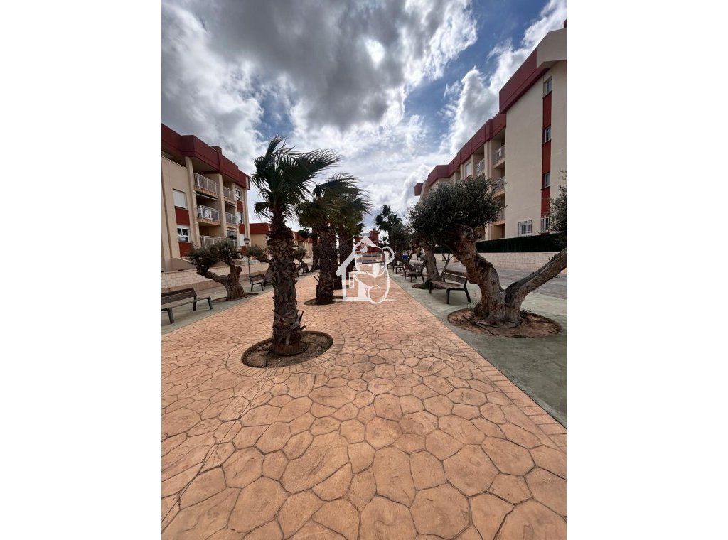 Новое здание - Квартира / квартира - Orihuela