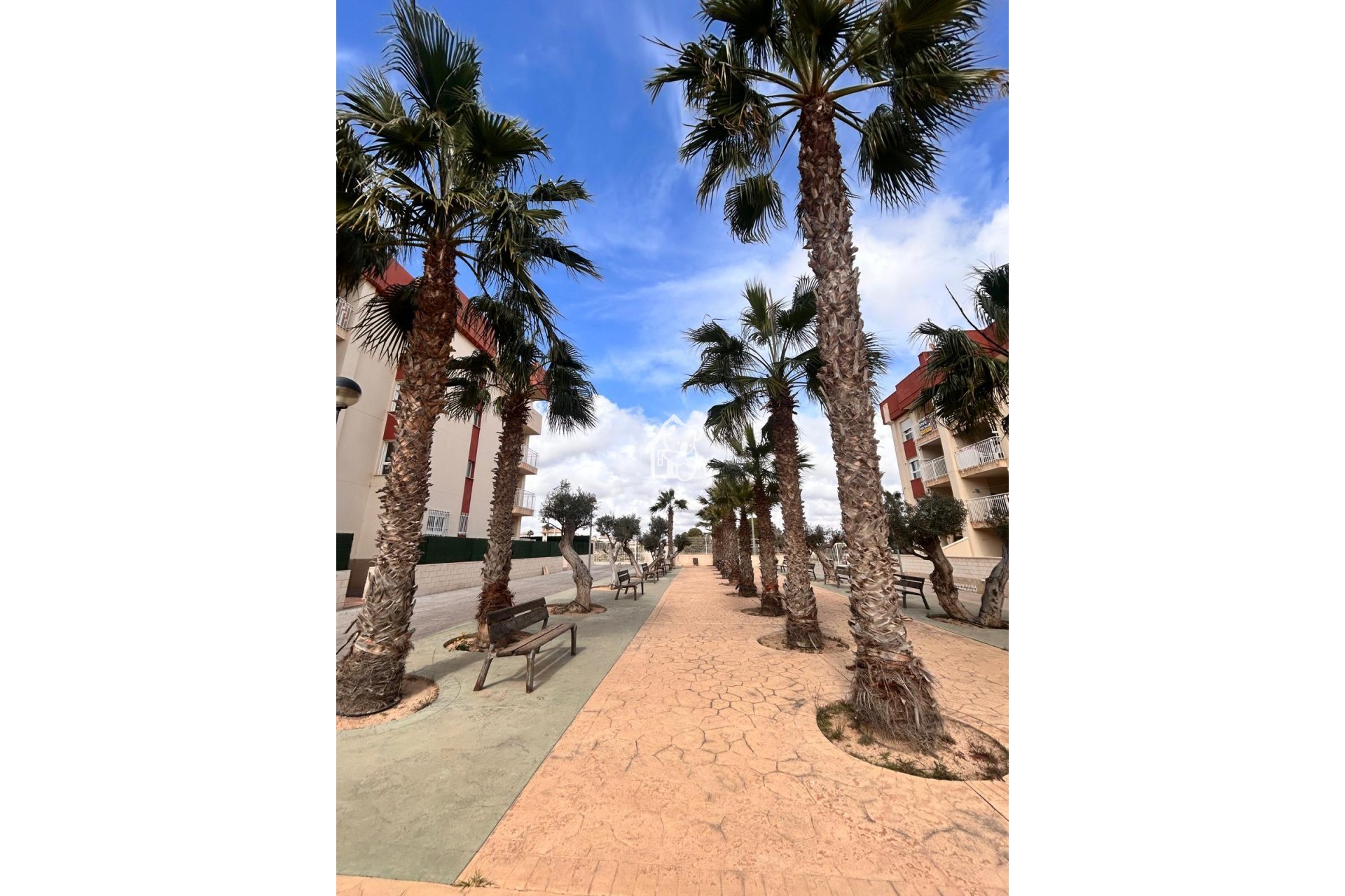 Новое здание - Квартира / квартира - Orihuela