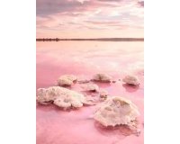 Новое здание - Квартира / квартира - Torrevieja