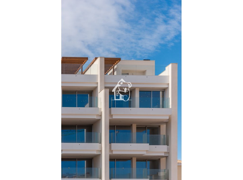 Новое здание - Пентхаус - Orihuela Costa