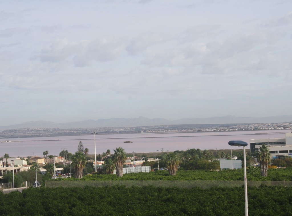 Новое здание - Таунхаус - Torrevieja