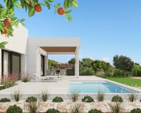 Новое здание - Villa - Dehesa de Campoamor