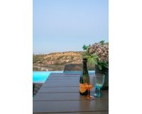 Новое здание - Villa - Rojales