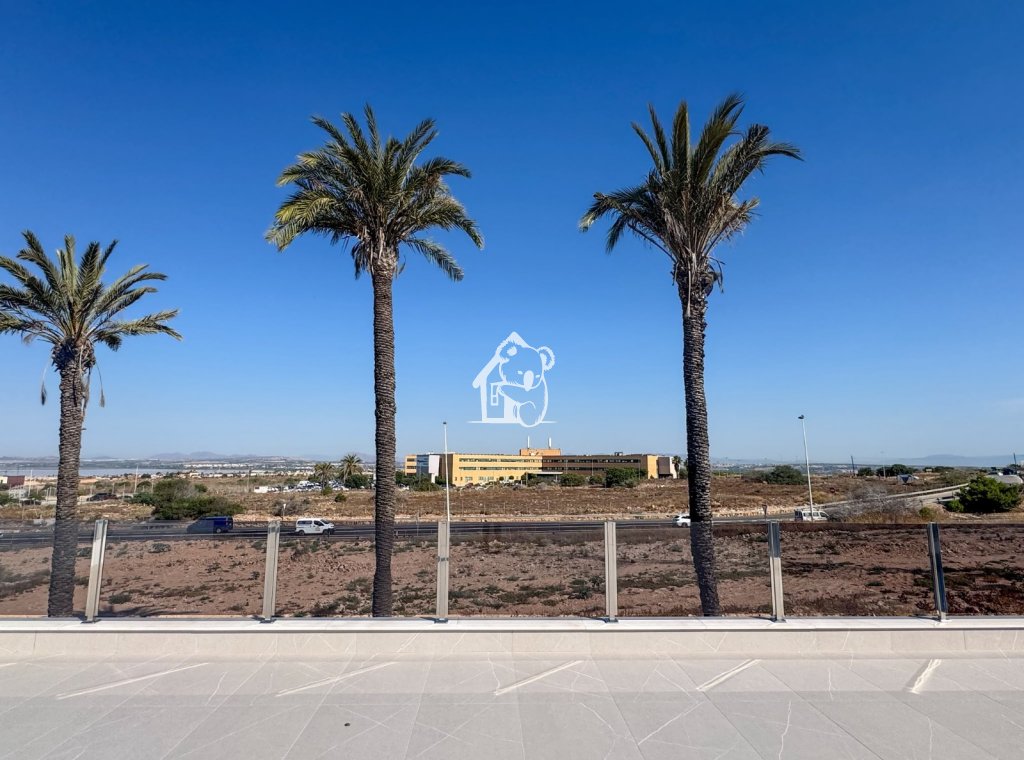 Новое здание - Villa - Torrevieja - Nueva Torrevieja - Aguas Nuevas