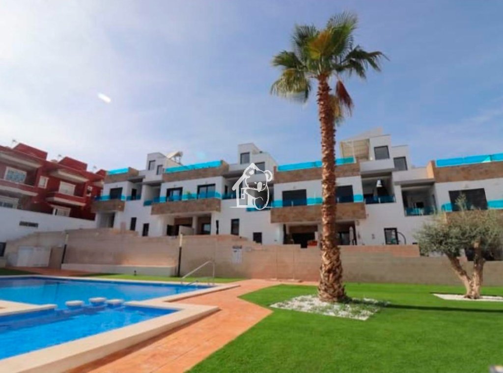 Obra nueva - Adosado - Bigastro