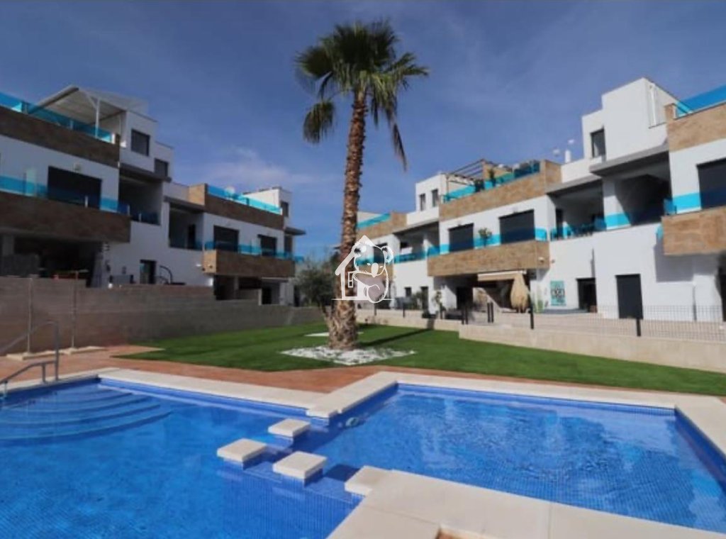 Obra nueva - Adosado - Bigastro