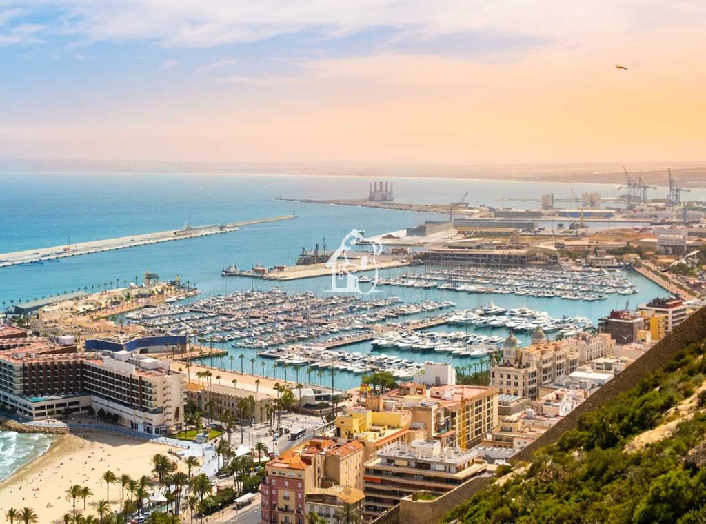 Obra nueva - Adosado - Mutxamel