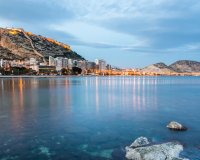 Obra nueva - Adosado - Mutxamel