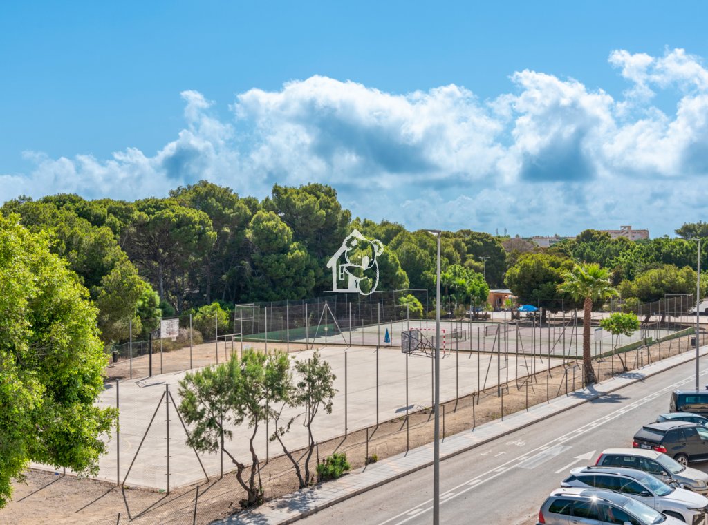 Obra nueva - Adosado - Pilar de la Horadada