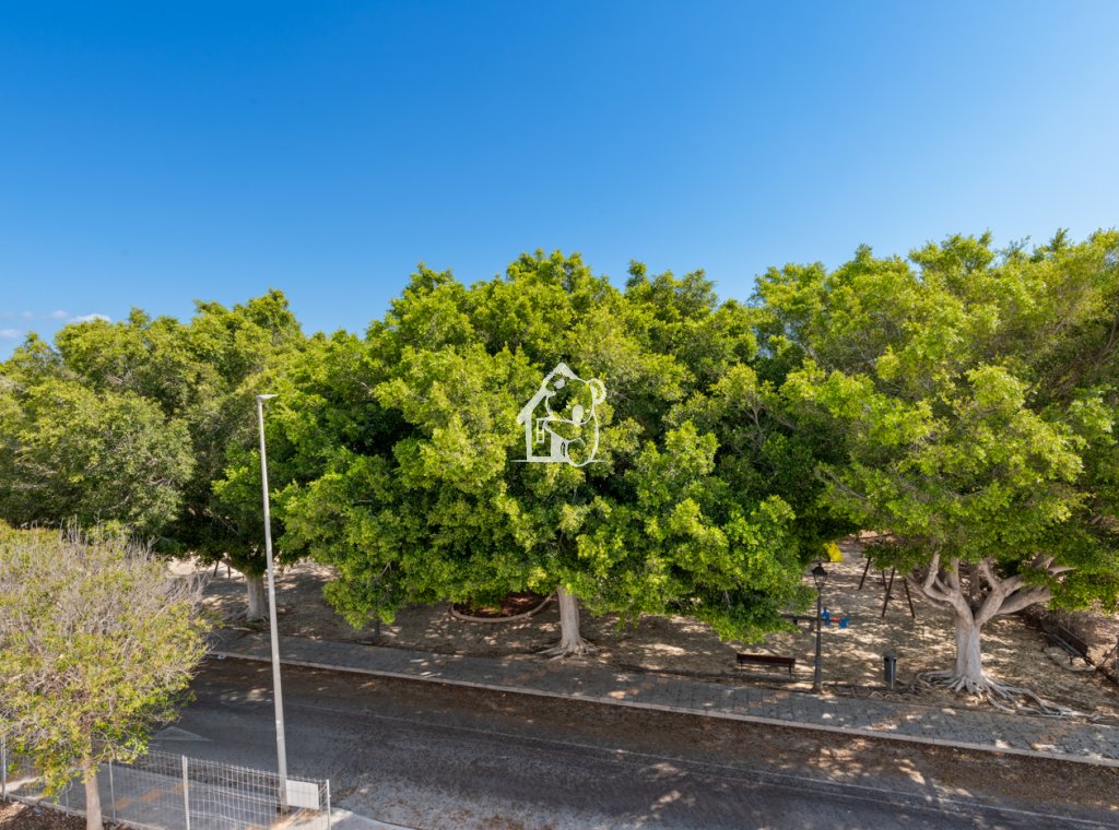 Obra nueva - Adosado - Pilar de la Horadada