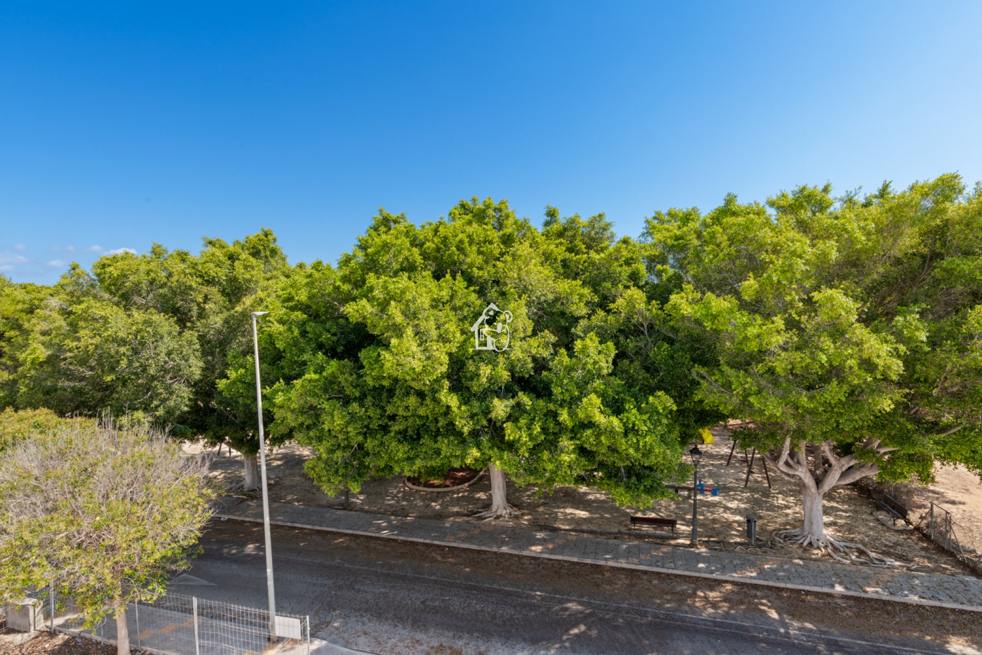 Obra nueva - Adosado - Pilar de la Horadada