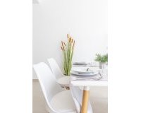 Obra nueva - Adosado - San Javier