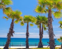 Obra nueva - Apartamento / piso - Cabo Roig