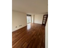 Obra nueva - Apartamento / piso - Elche
