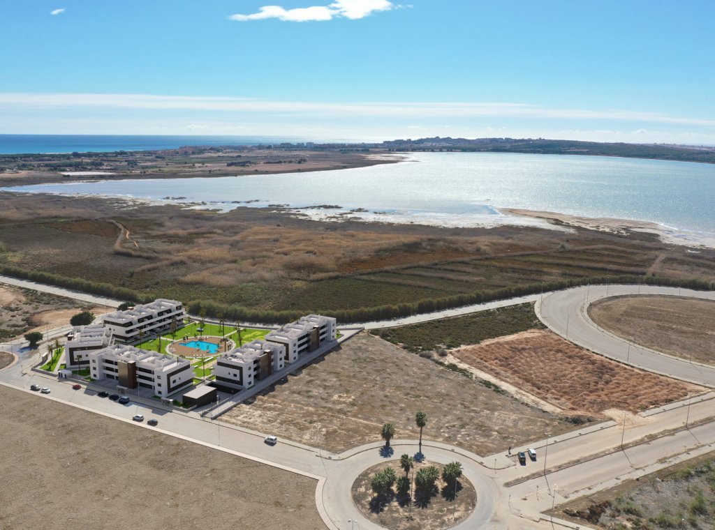 Obra nueva - Apartamento / piso - Guardamar del Segura