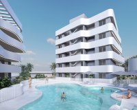 Obra nueva - Apartamento / piso - Guardamar del Segura