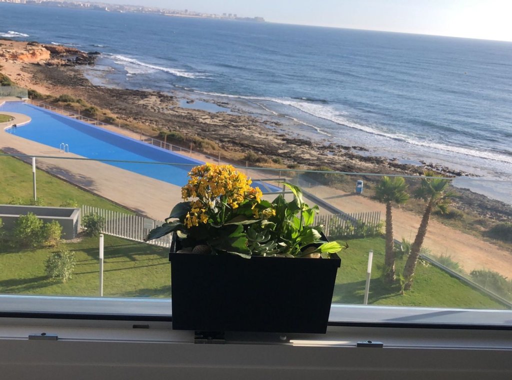 Obra nueva - Apartamento / piso - Orihuela Costa - Punta Prima