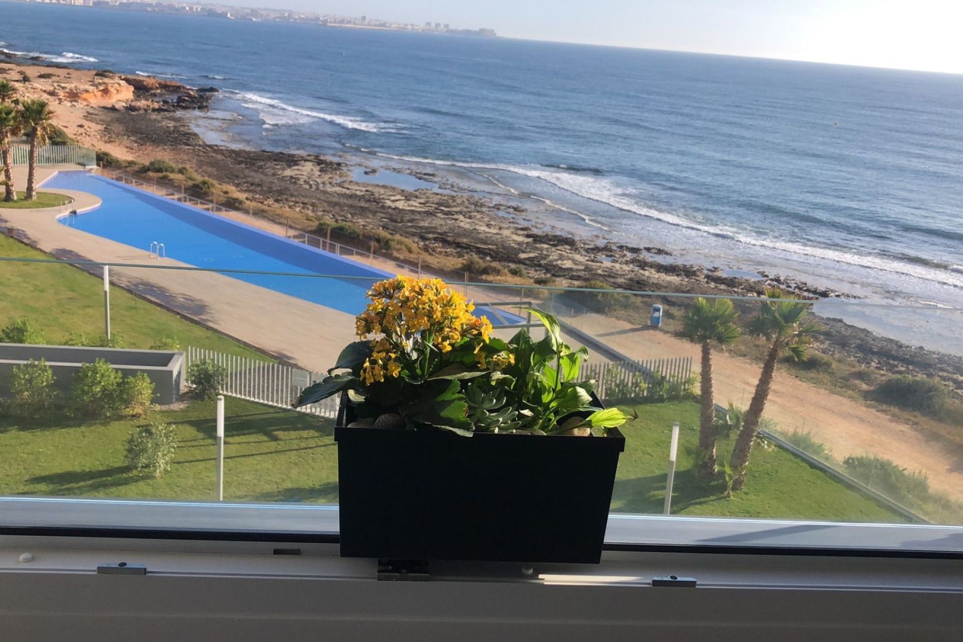 Obra nueva - Apartamento / piso - Orihuela Costa - Punta Prima
