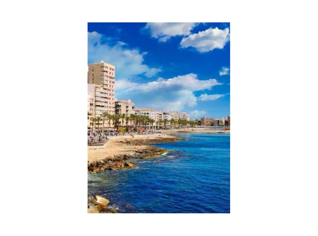 Obra nueva - Apartamento / piso - Torrevieja