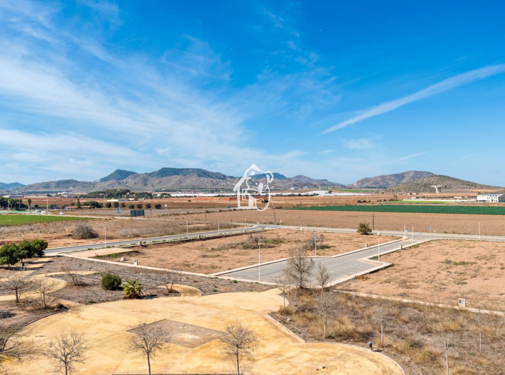 Obra nueva - Ático - Islas Menores