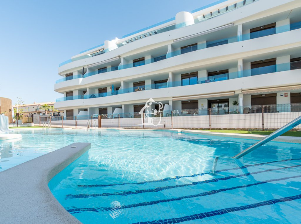 Obra nueva - Ático - Orihuela Costa