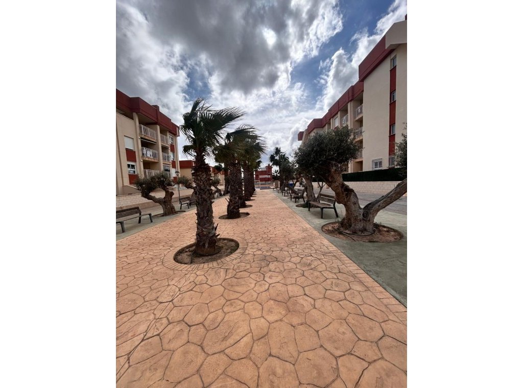 Obra nueva - Ático - Orihuela Costa