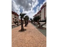 Obra nueva - Ático - Orihuela Costa