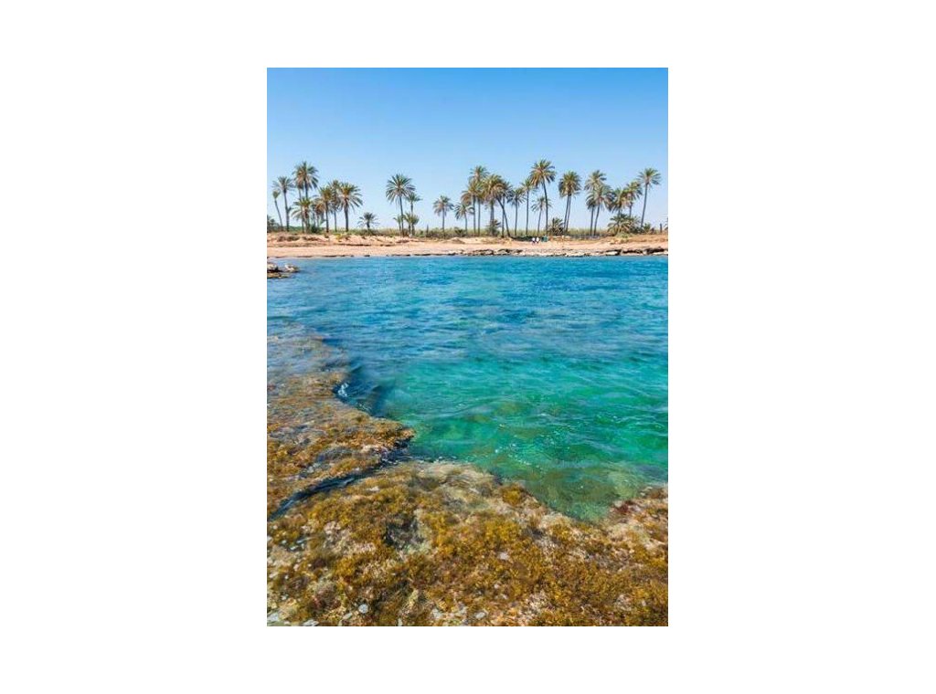 Obra nueva - Ático - Torrevieja