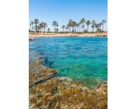 Obra nueva - Ático - Torrevieja