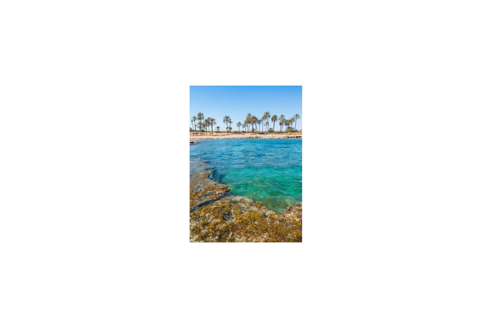 Obra nueva - Ático - Torrevieja