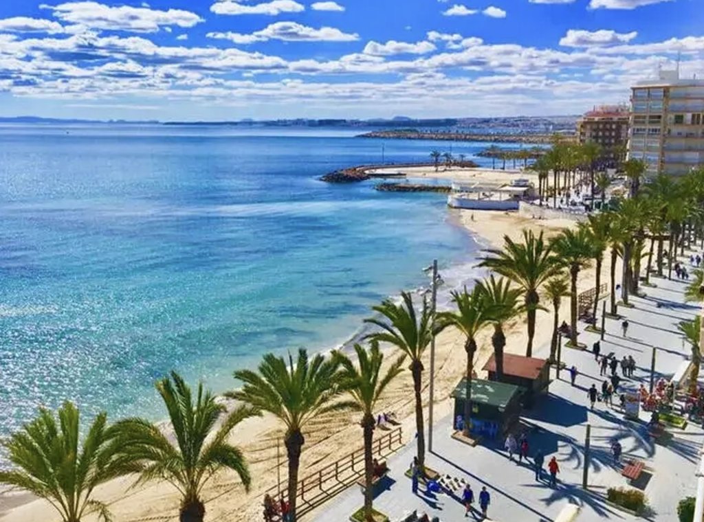Obra nueva - Ático - Torrevieja