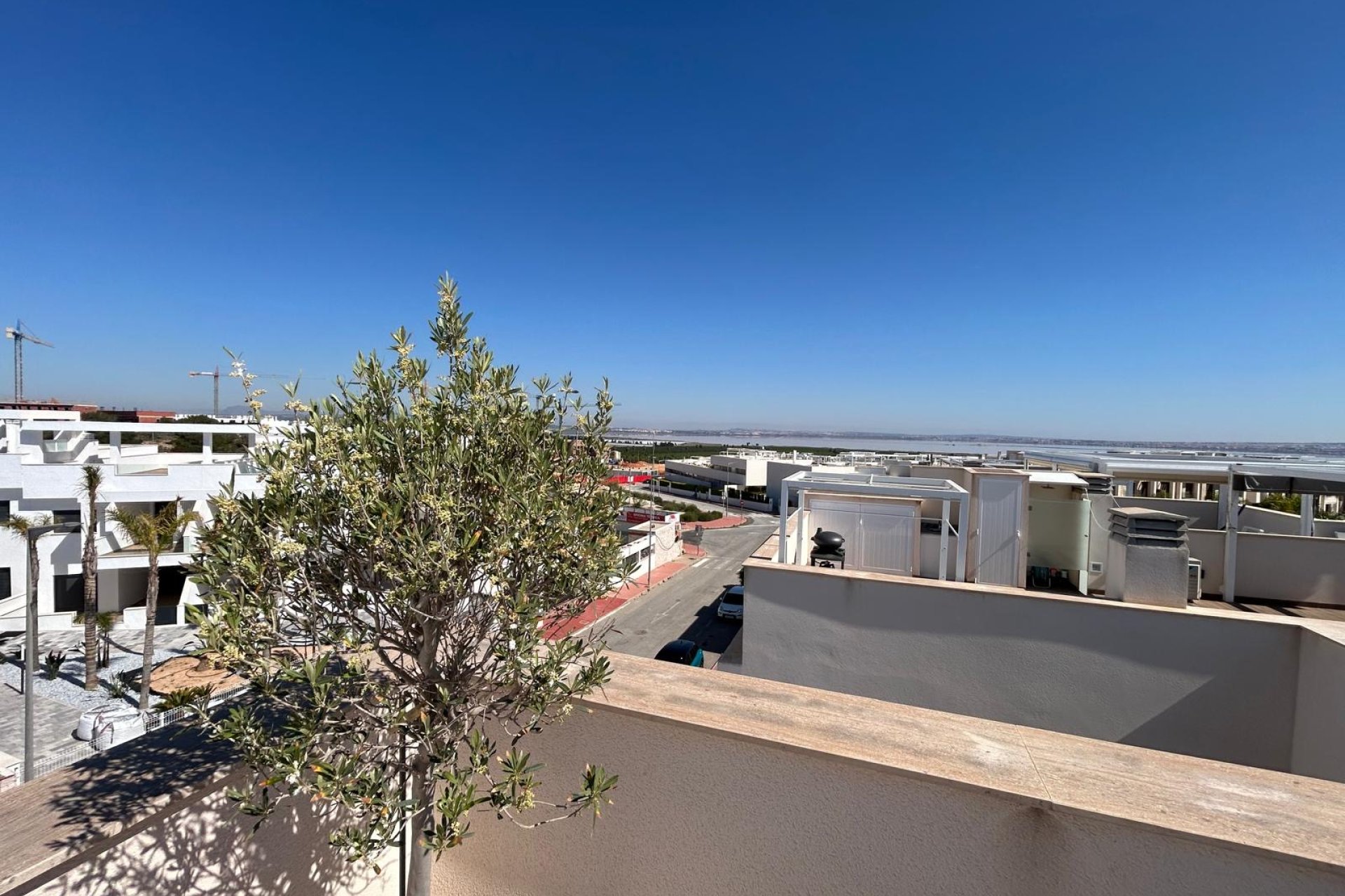 Obra nueva - Ático - Torrevieja