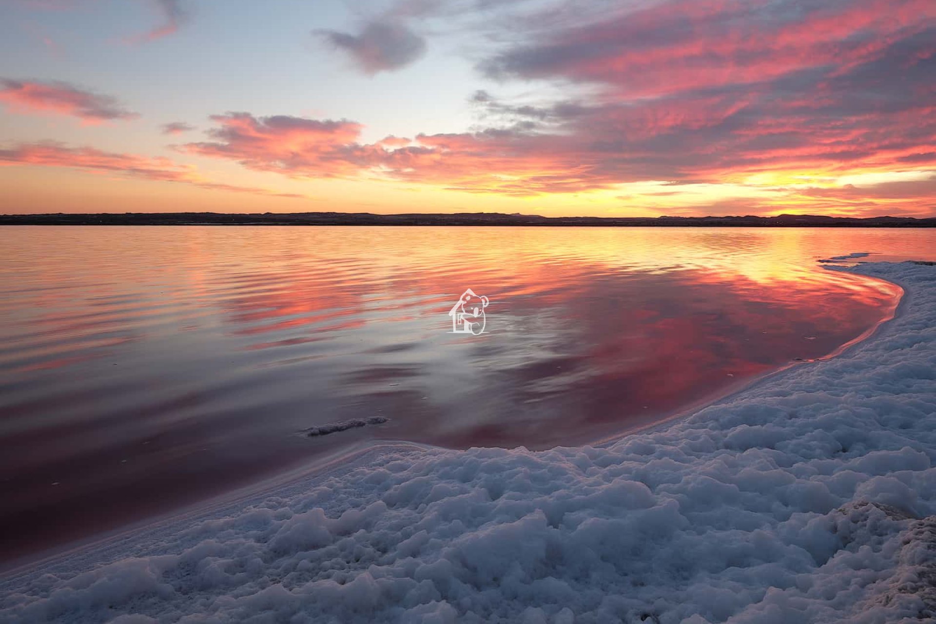 Obra nueva - Bungalow - Torrevieja
