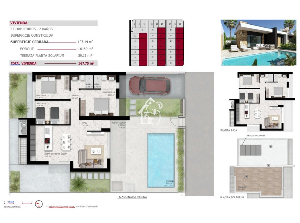 Obra nueva - Villa - Ciudad Quesada