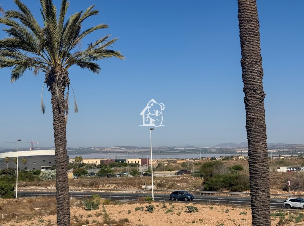 Obra nueva - Villa - Torrevieja - Nueva Torrevieja - Aguas Nuevas