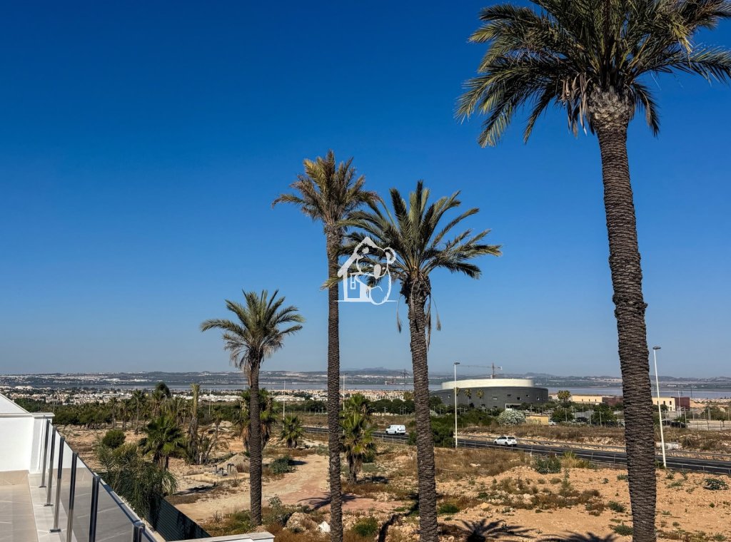 Obra nueva - Villa - Torrevieja - Nueva Torrevieja - Aguas Nuevas