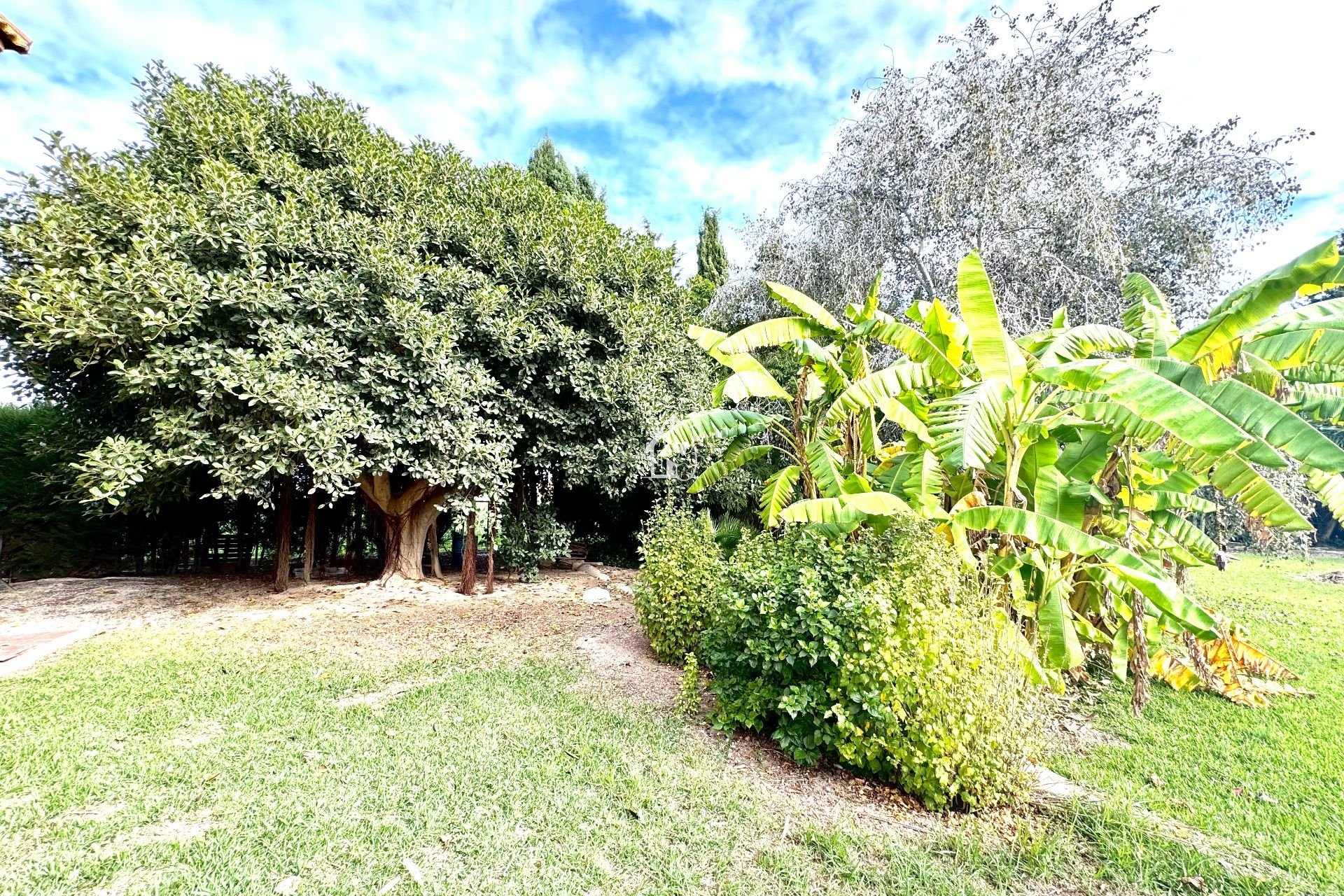 Перепродажа - Villa - Daya Nueva