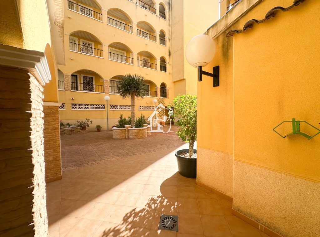 Rental - Apartment / flat - Algorfa