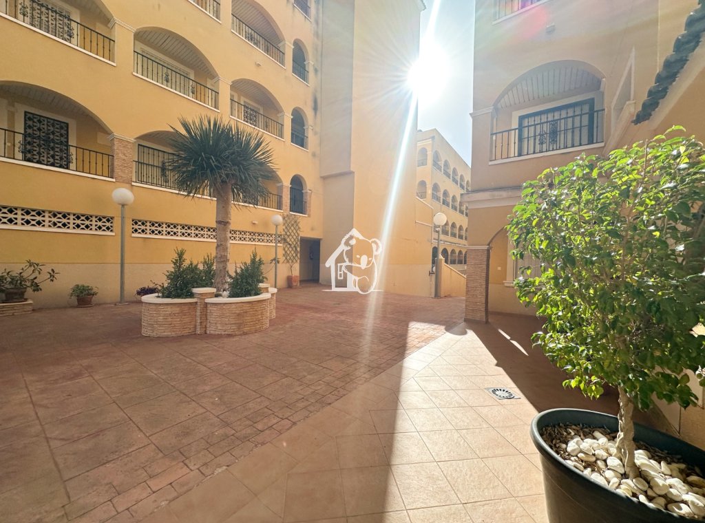 Rental - Apartment / flat - Algorfa